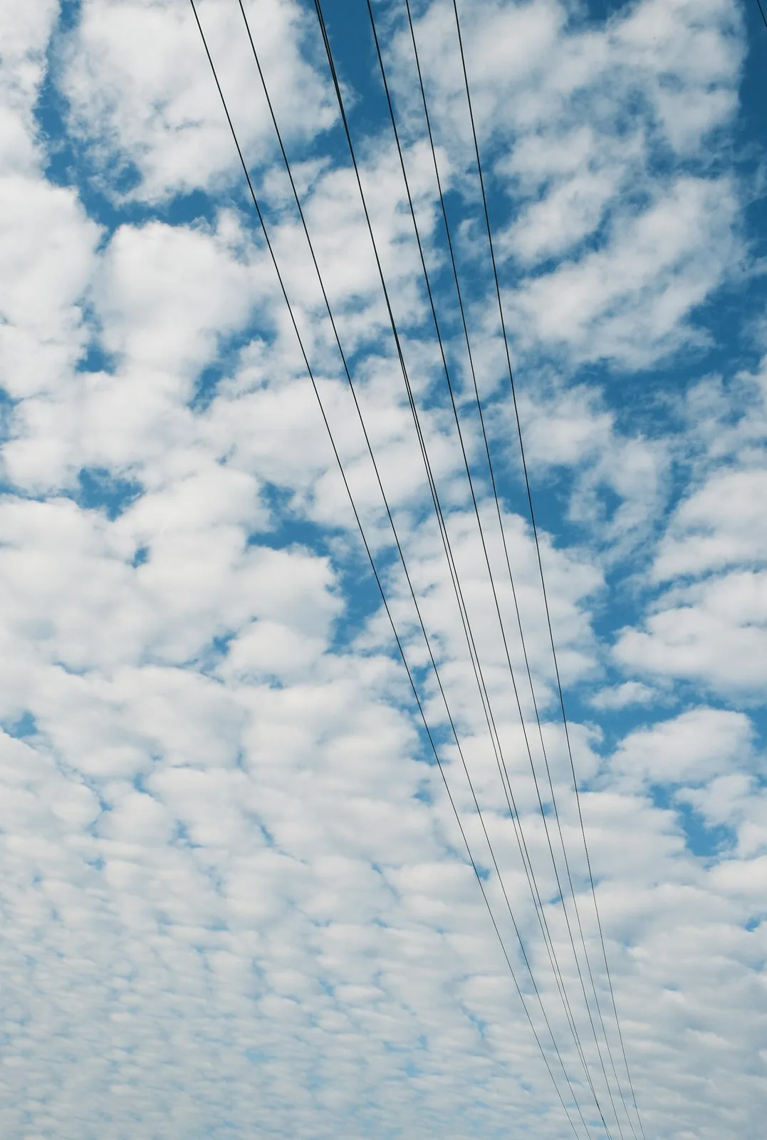 Líneas eléctricas aéreas cruzando un cielo azul con nubes