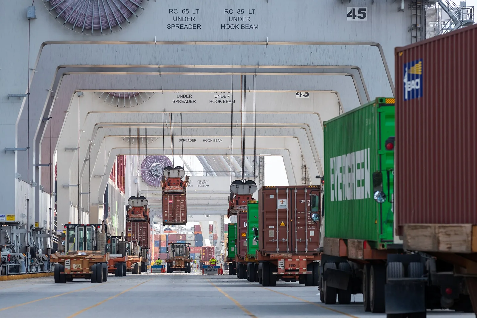 Contenedores y vehículos de inspección no intrusiva en el puerto de Savannah, Estados Unidos